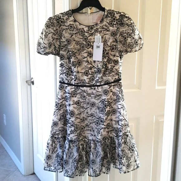 NWT Gal Meets Glam Viola Raffia Embroidered Dress Size 4 - Picture 4 of 10